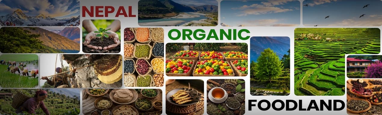 Organic Himalayan dishes